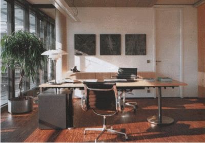 Особенности офисного декора